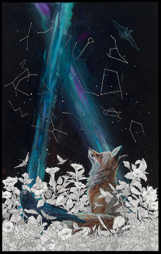 “Stargazing” Original & Limited Edition Prints