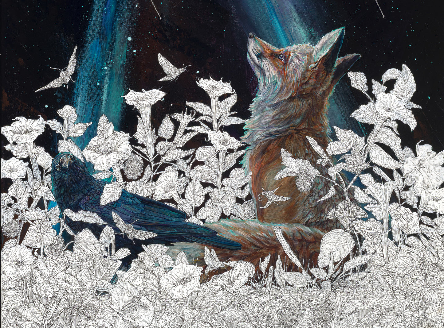 “Stargazing” Original & Limited Edition Prints