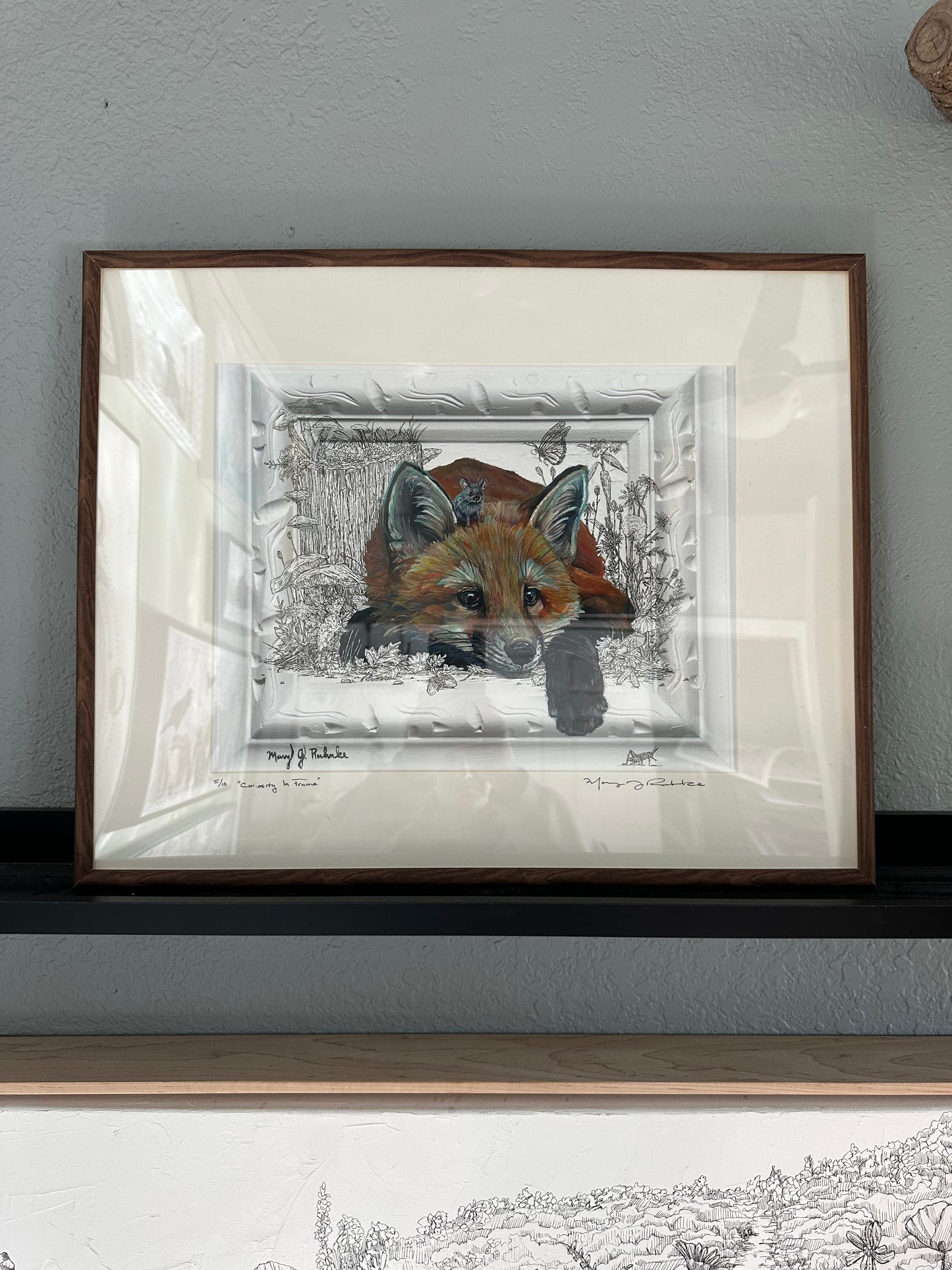 “Curiosity In Frame"  Framed Limited Edition Print