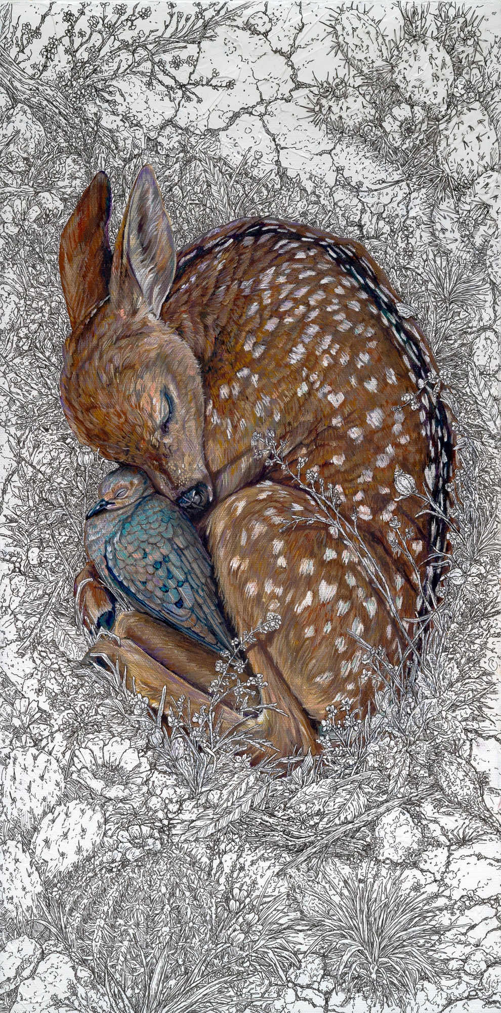"What the Drought Taught Me to Notice" Original & Limited Edition Fine Art Print