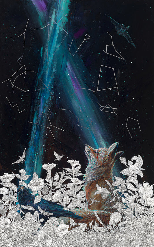 “Stargazing” Limited Edition Prints